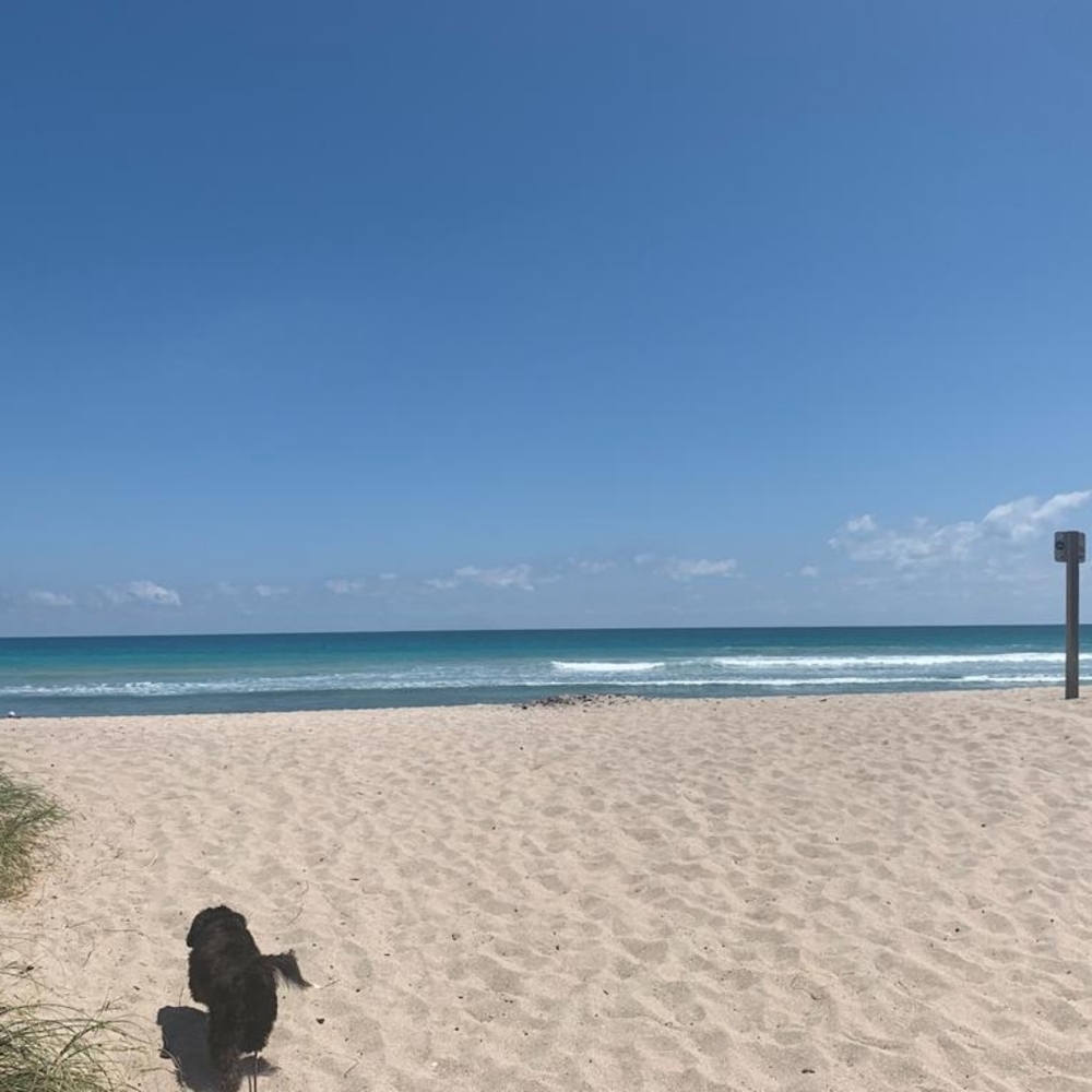 Hello Fellow Poshers!